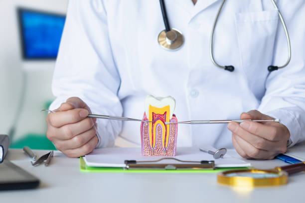 Best Emergency Root Canal Treatment in Kurtistown, HI